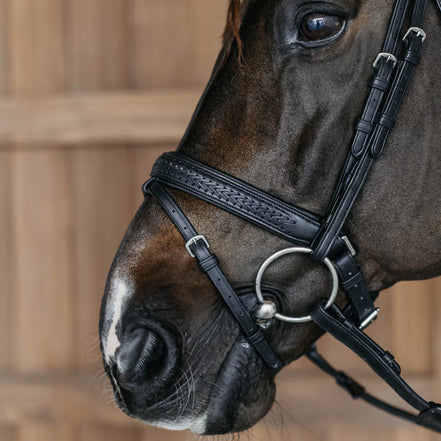 Dy'on Plaited Flash Noseband Hoofdstel with Pull back