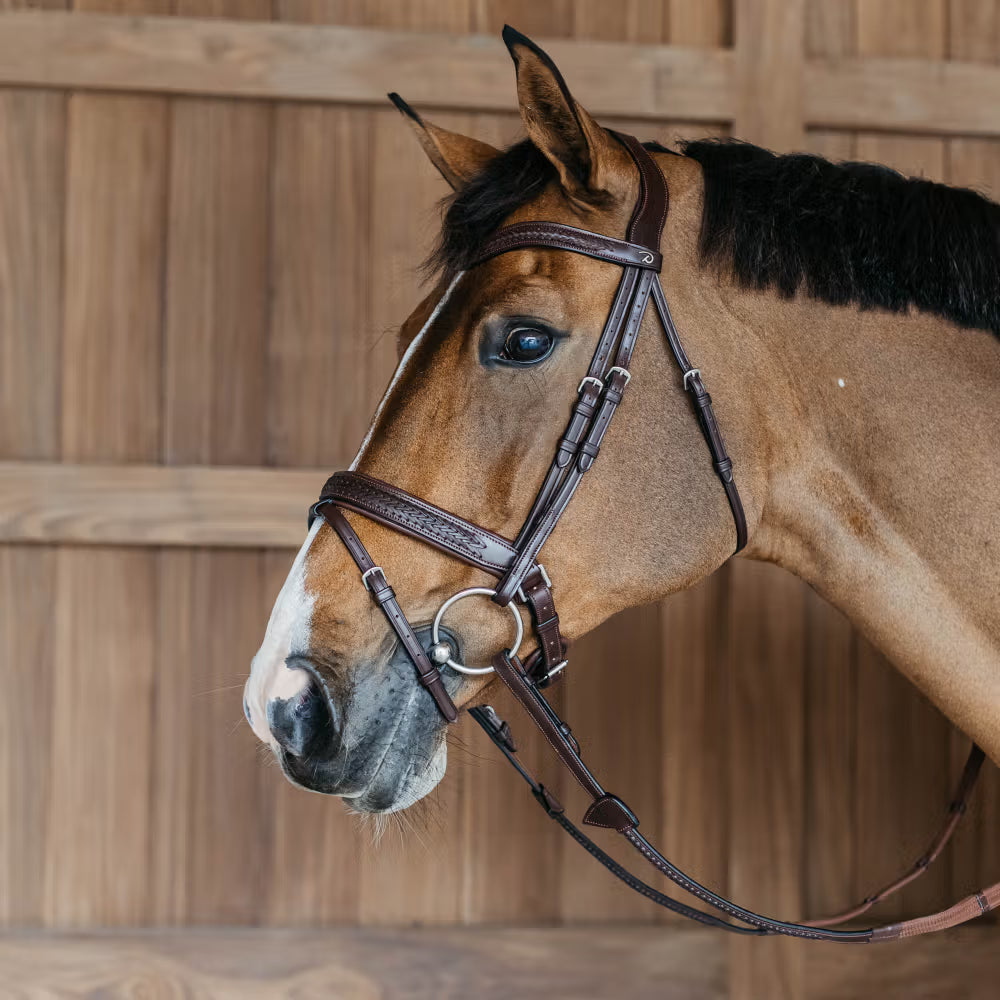 Dy'on Plaited Flash Noseband Hoofdstel with Pull back – detailfoto 3