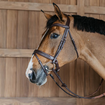 Dy'on Plaited Flash Noseband Hoofdstel with Pull back