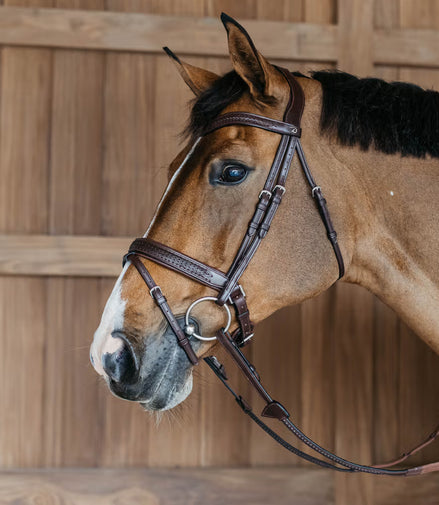 Dy'on Plaited Flash Noseband Hoofdstel with Pull back