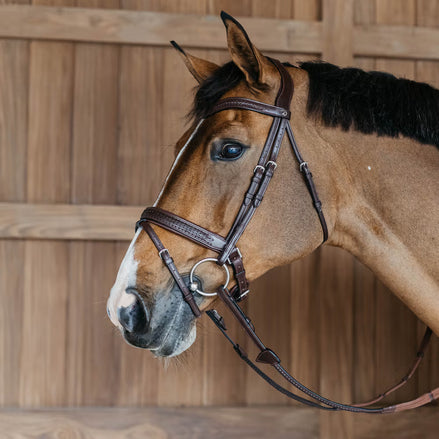 Dy'on Plaited Flash Noseband Hoofdstel with Pull back