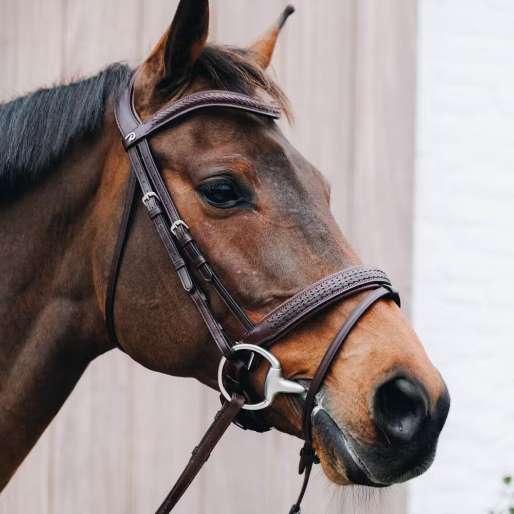 Dy'on Plaited Flash Noseband Hoofdstel with Pull back – detailfoto 8