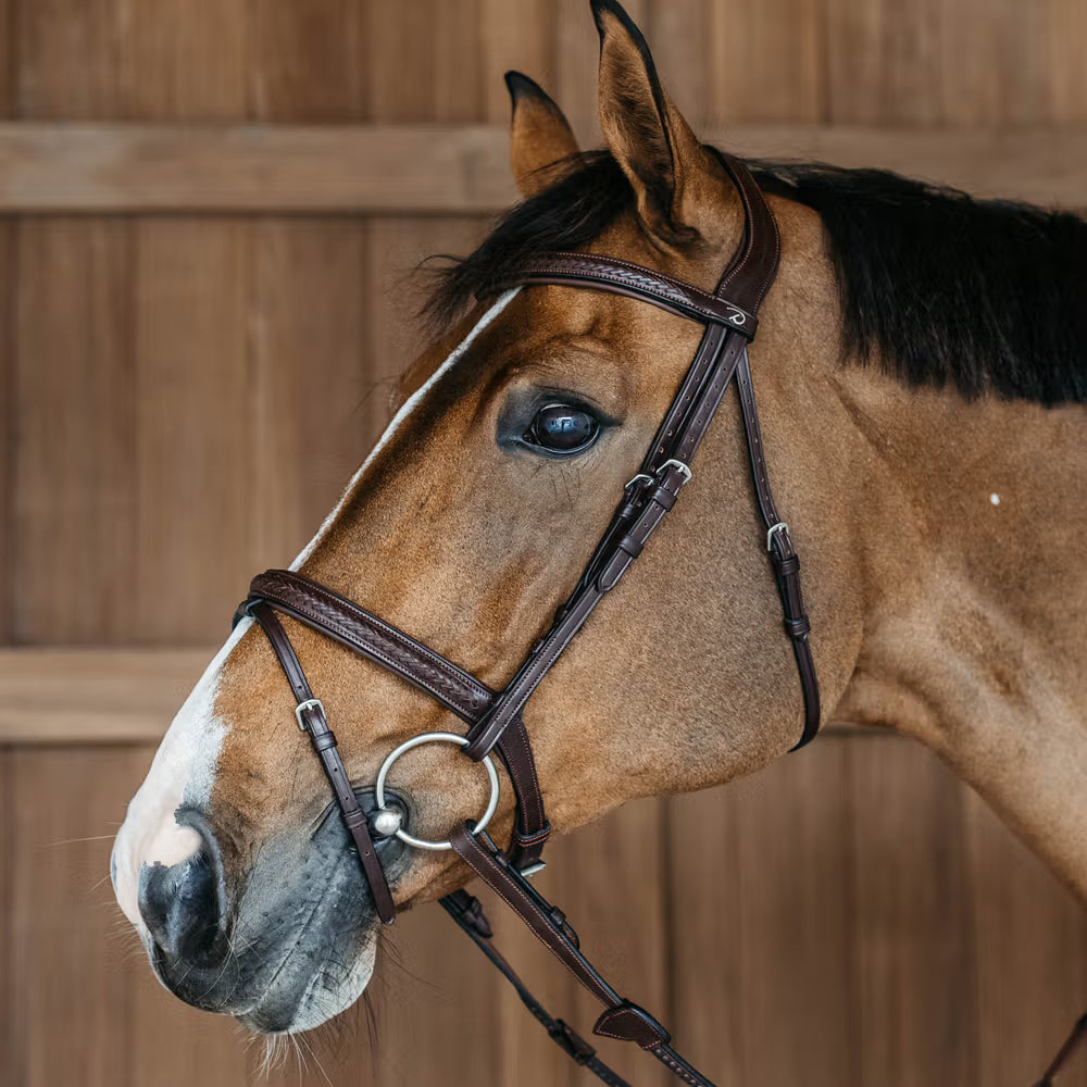 Dy'on Plaited Flash Noseband Hoofdstel – detailfoto 2