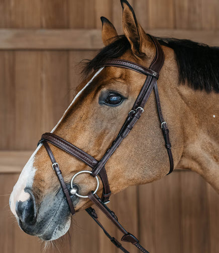 Dy'on Plaited Flash Noseband Hoofdstel