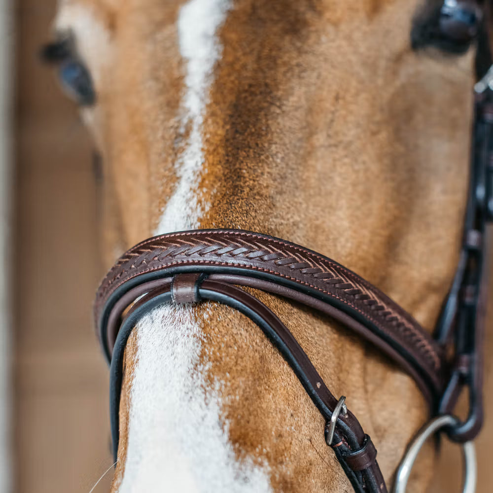 Dy'on Plaited Flash Noseband Hoofdstel – detailfoto 4