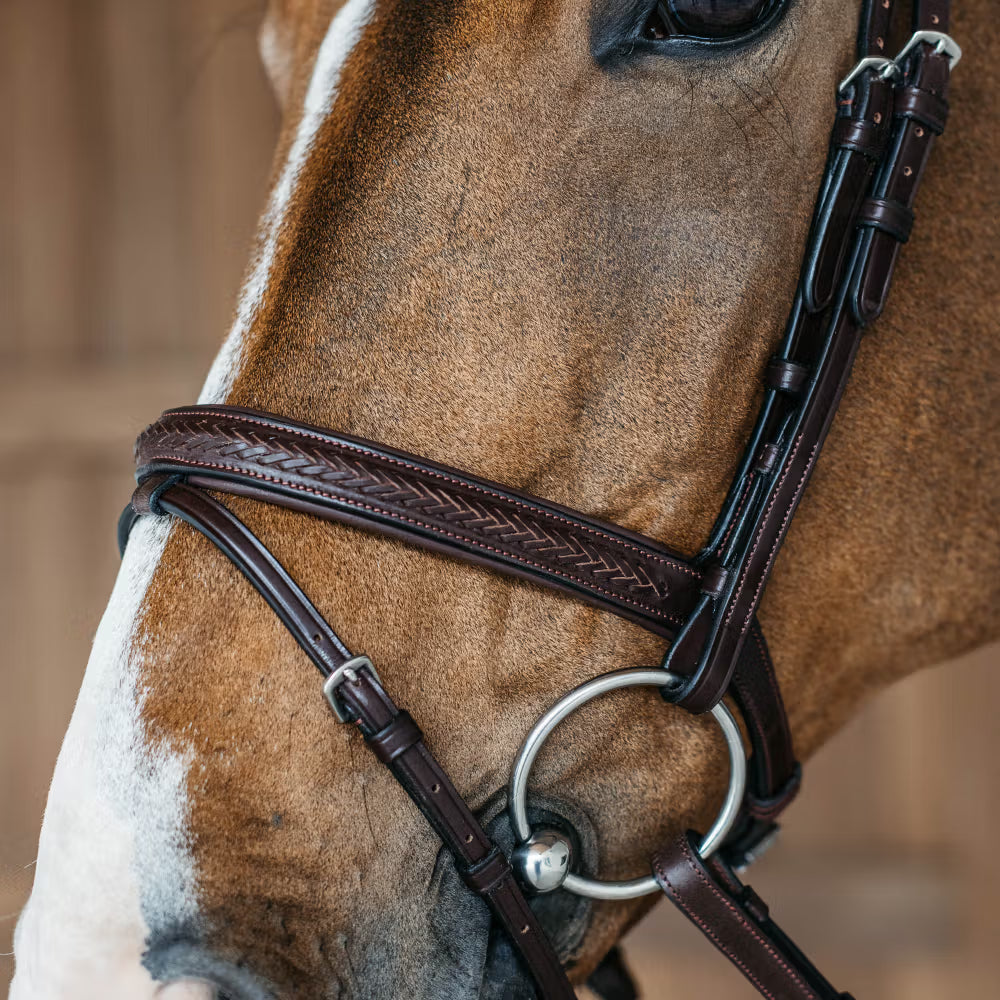 Dy'on Plaited Flash Noseband Hoofdstel – detailfoto 3