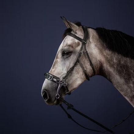 Dy'on Hackamore Hoofdstel - D Collection