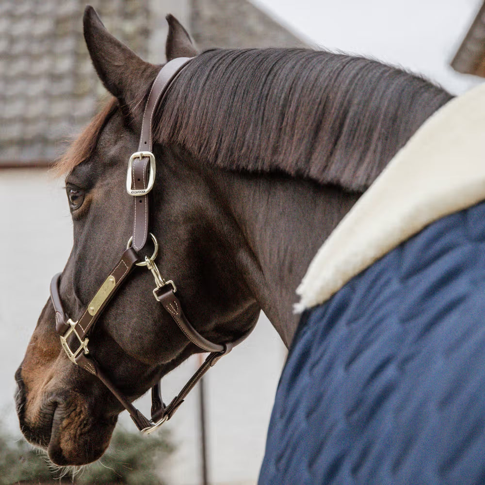 Kentucky Staldeken Comfort – detailfoto 6