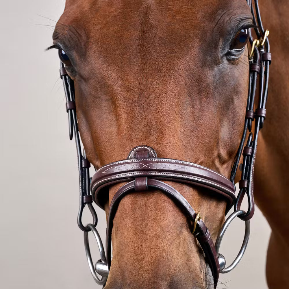 Dy'on Flash Noseband Hoofdstel - D Collection – detailfoto 7