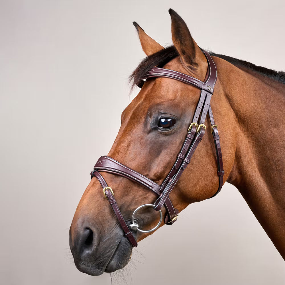 Dy'on Anatomic Flash Noseband Hoofdstel - D Collection Trenshoofdstellen - Maddelin Equestrian Dy on