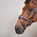 Dy'on Anatomic Flash Noseband Hoofdstel - D Collection Trenshoofdstellen - Maddelin Equestrian Dy on