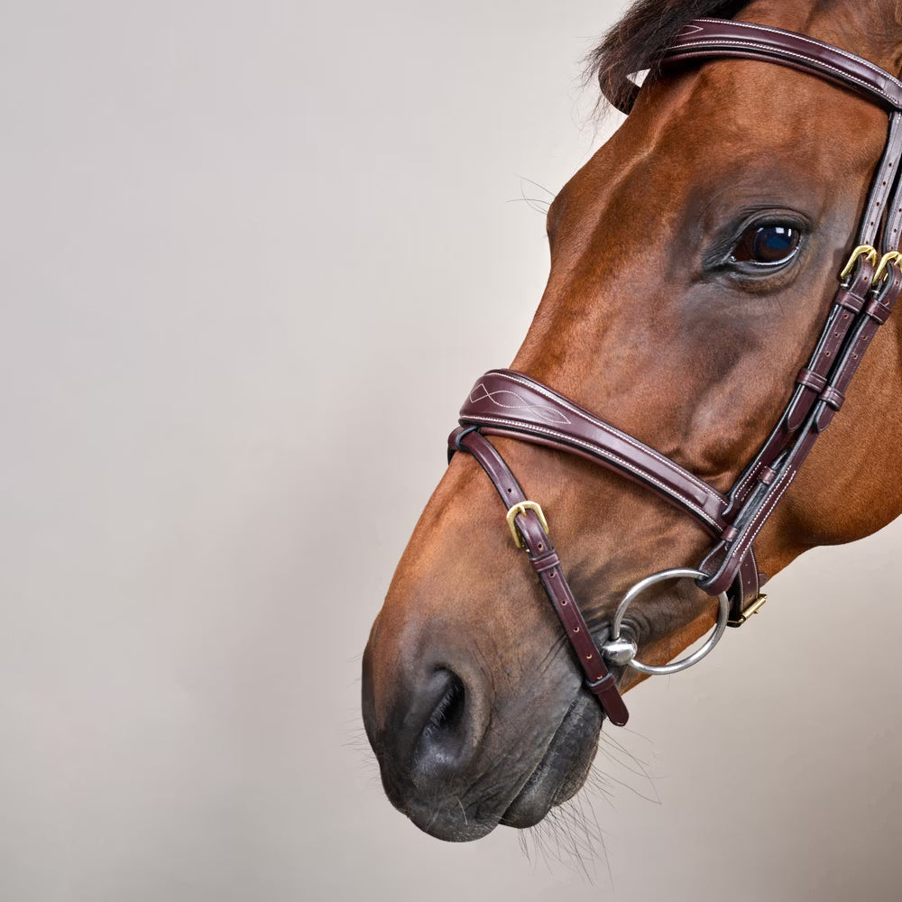 Dy'on Anatomic Flash Noseband Hoofdstel - D Collection Trenshoofdstellen - Maddelin Equestrian Dy on