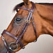 Dy'on Anatomic Flash Noseband Hoofdstel - D Collection Trenshoofdstellen - Maddelin Equestrian Dy on