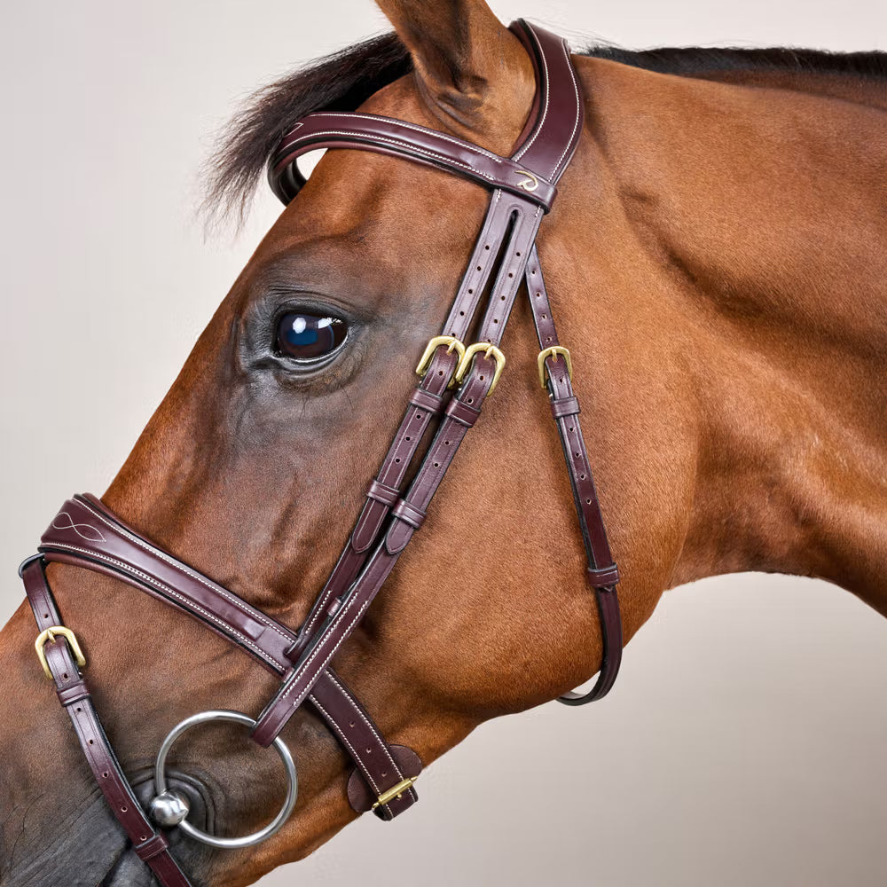 Dy'on Anatomic Flash Noseband Hoofdstel - D Collection Trenshoofdstellen - Maddelin Equestrian Dy on