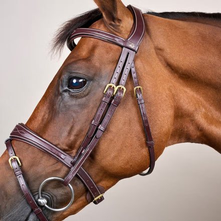 Dy'on Anatomic Flash Nasenriemen Kopfstück - D Kollektion