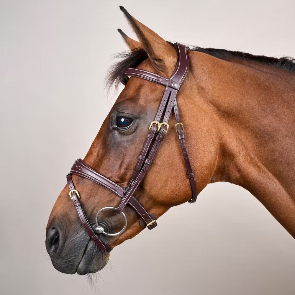 Dy'on Anatomic Flash Noseband Hoofdstel - D Collection Trenshoofdstellen - Maddelin Equestrian Dy on