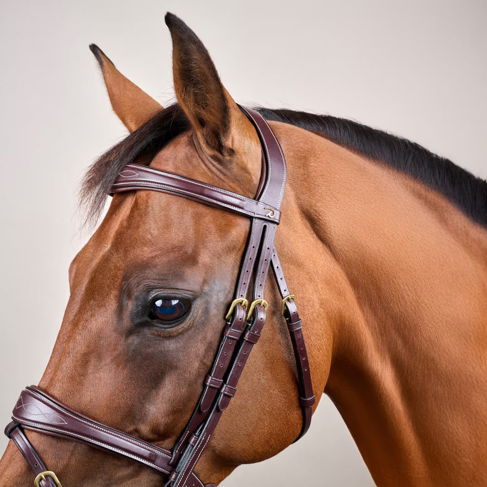 Dy'on Anatomic Flash Noseband Hoofdstel - D Collection Trenshoofdstellen - Maddelin Equestrian Dy on