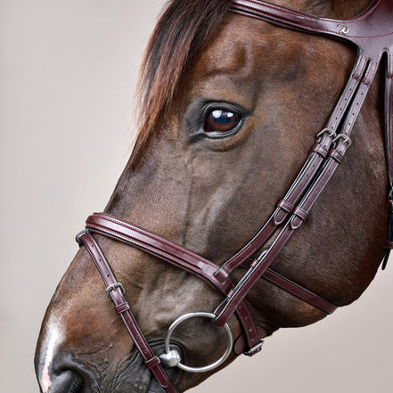 Bride Dy'on Différence Bride