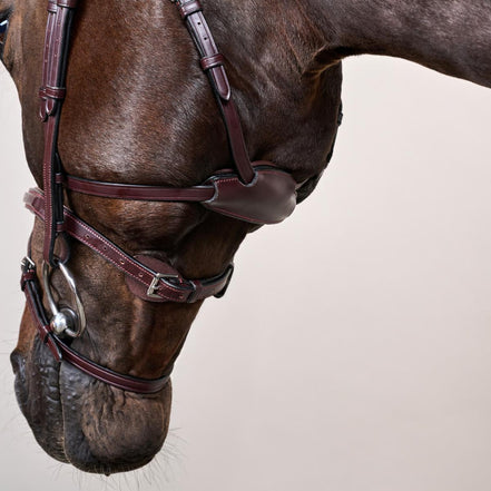 Bride Dy'on Différence Bride