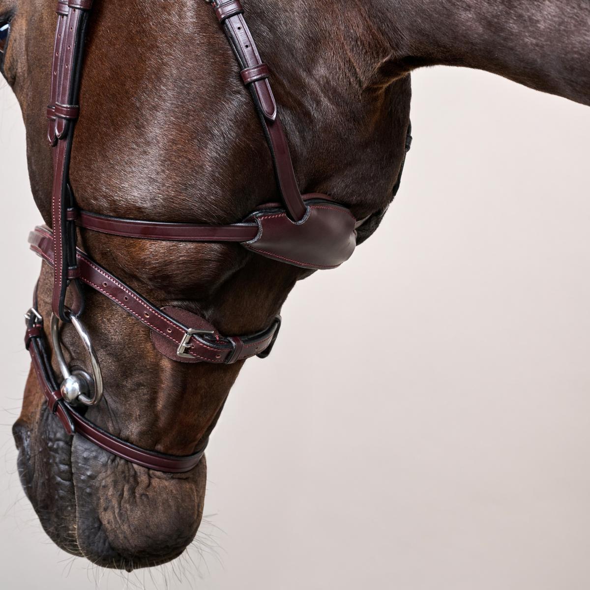 Bride Dy'on Différence Bride