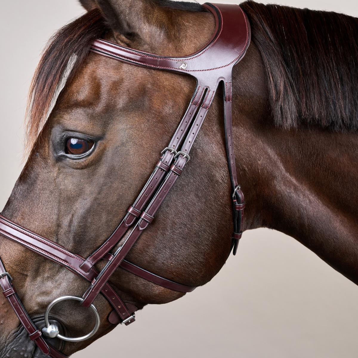 Bride Dy'on Différence Bride