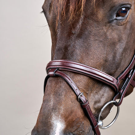 Bride Dy'on Différence Bride