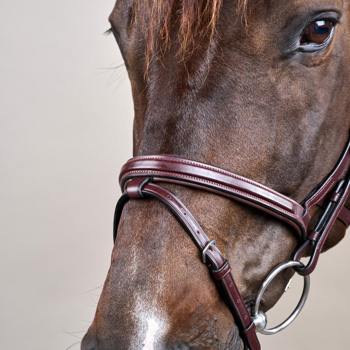 Bride Dy'on Différence Bride