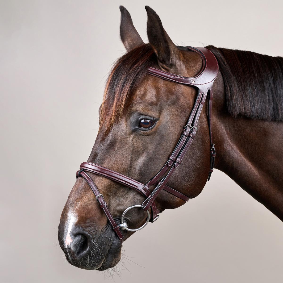 Bride Dy'on Différence Bride