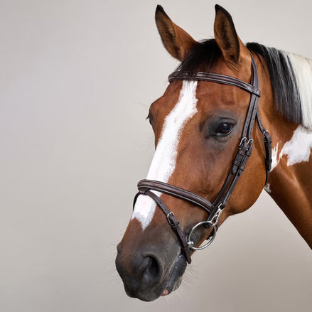 Dy'on Gecombineerd Hoofdstel met clips