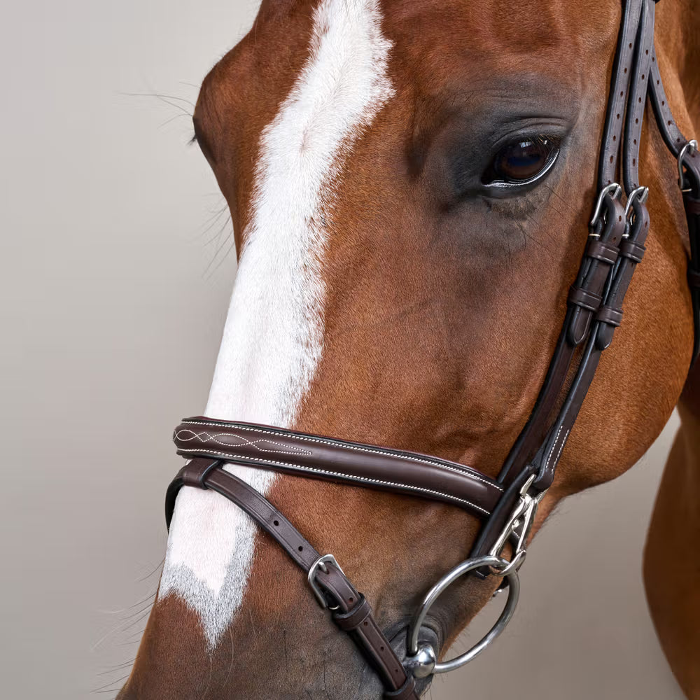 Dy'on Gecombineerd Hoofdstel met clips – detailfoto 4