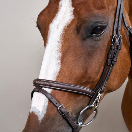 Dy'on Kombiniertes Zaumzeug mit Clips