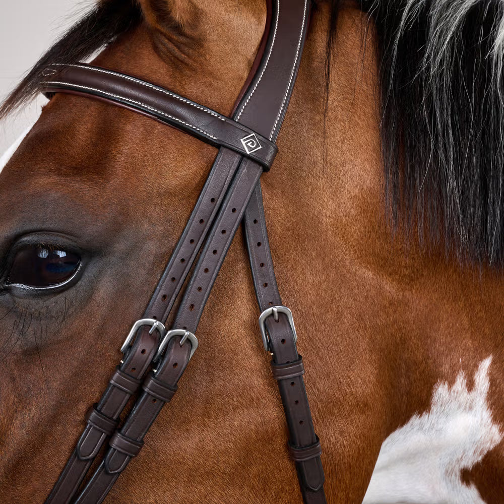Dy'on Gecombineerd Hoofdstel met clips – detailfoto 5