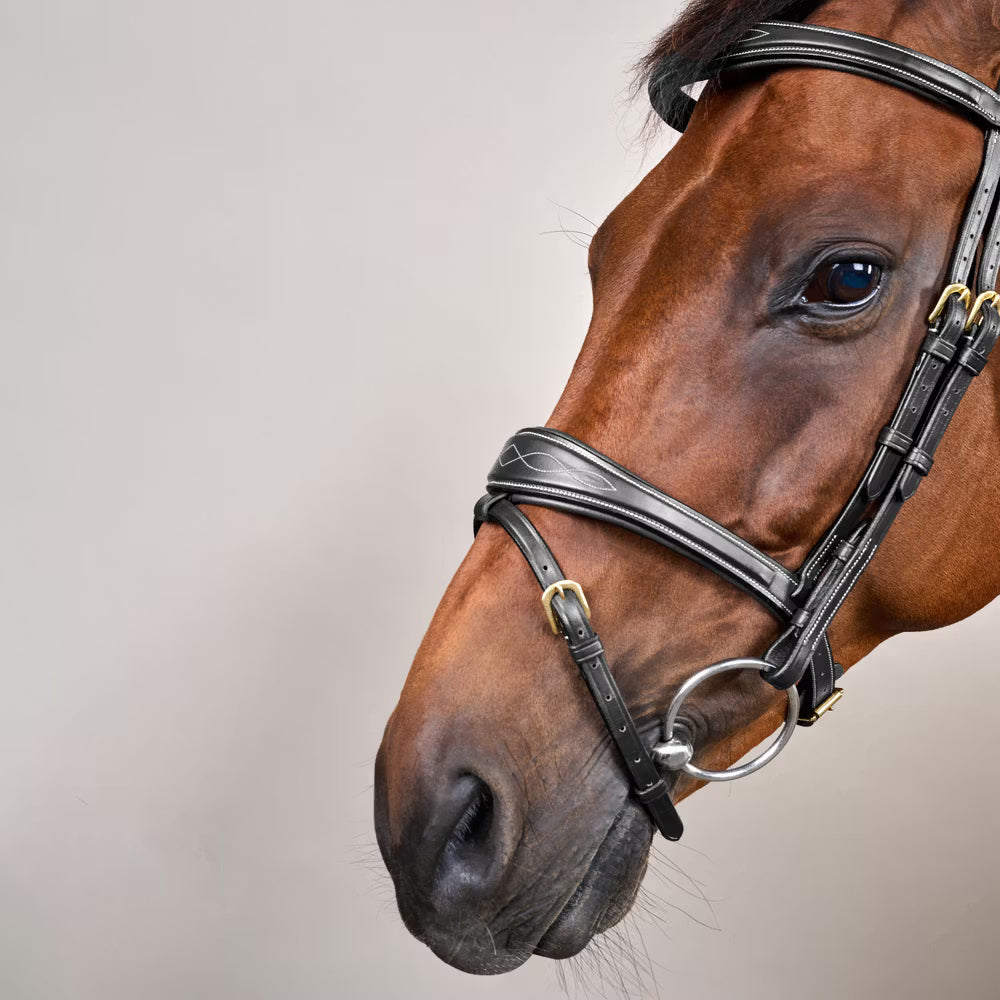 Dy'on Anatomic Flash Noseband Hoofdstel - D Collection Trenshoofdstellen - Maddelin Equestrian Dy on