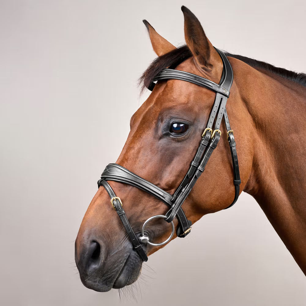 Dy'on Anatomic Flash Noseband Hoofdstel - D Collection Trenshoofdstellen - Maddelin Equestrian Dy on