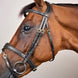 Dy'on Anatomic Flash Noseband Hoofdstel - D Collection Trenshoofdstellen - Maddelin Equestrian Dy on