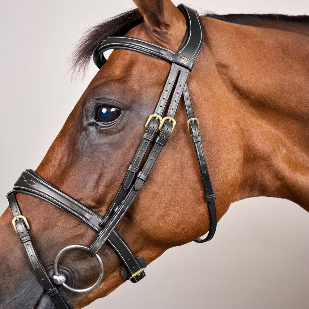 Dy'on Anatomic Flash Noseband Hoofdstel - D Collection Trenshoofdstellen - Maddelin Equestrian Dy on