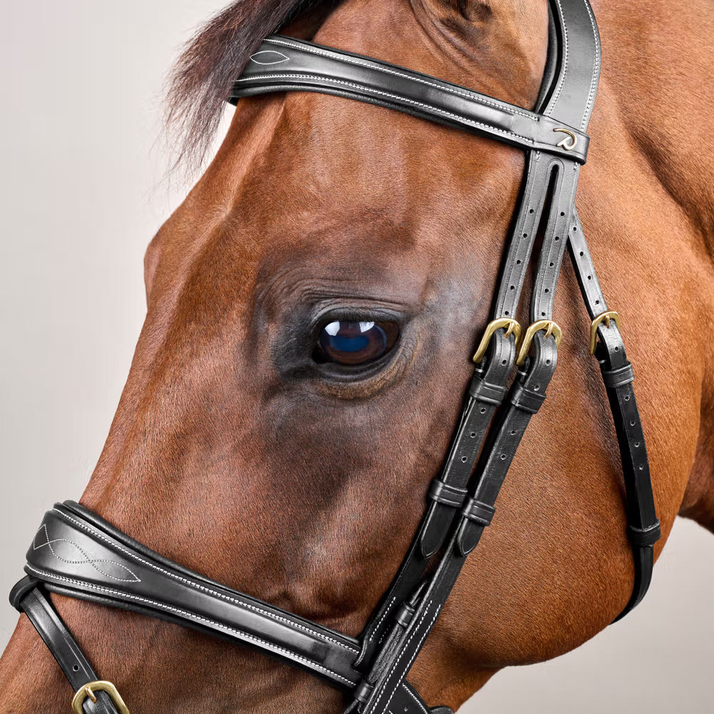 Dy'on Anatomic Flash Noseband Hoofdstel - D Collection Trenshoofdstellen - Maddelin Equestrian Dy on