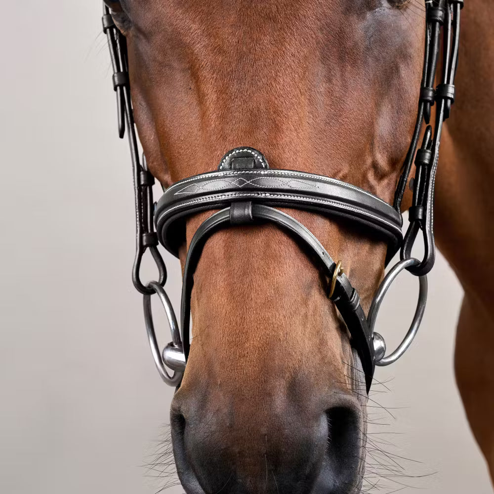 Dy'on Flash Noseband Hoofdstel - D Collection – detailfoto 5
