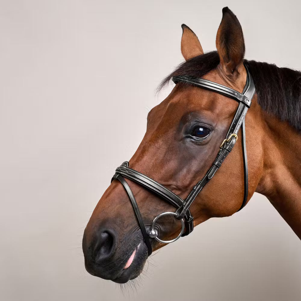 Dy'on Flash Noseband Hoofdstel - D Collection – detailfoto 4