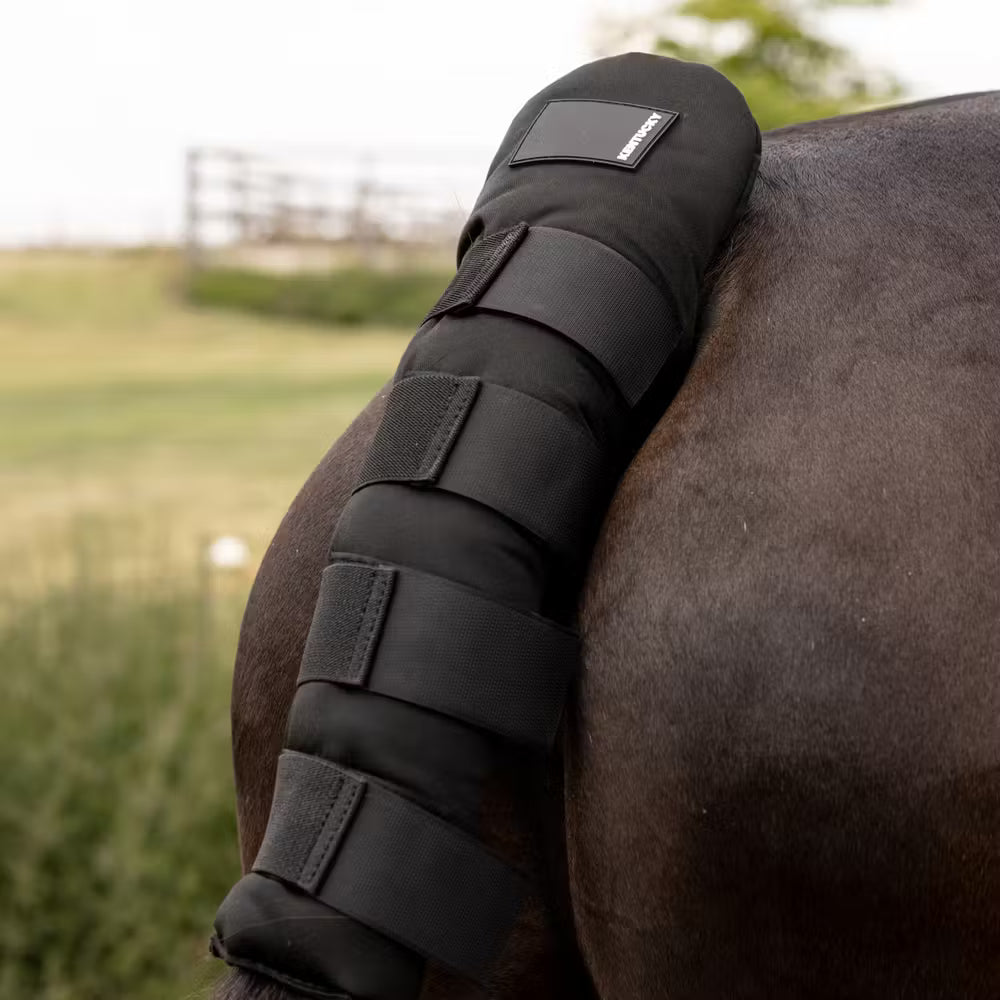Kentucky Staartbeschermer Pro voor Transport en Maximale Bescherming Toebehoren - Maddelin Equestrian Kentucky