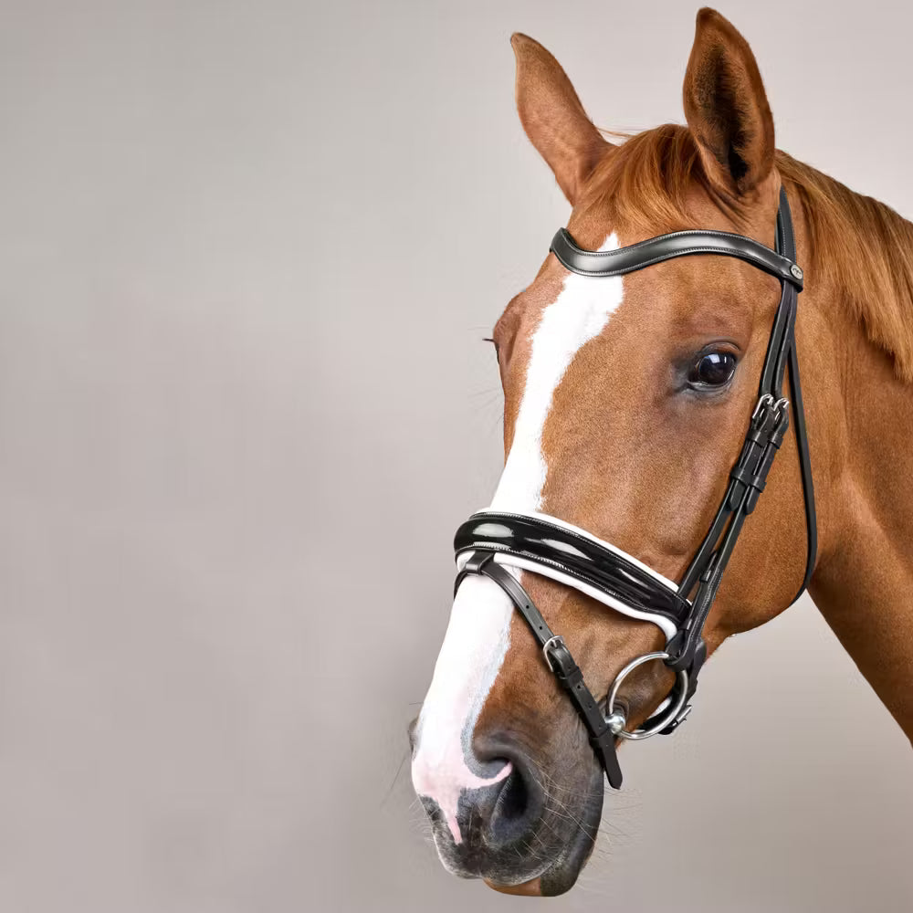 Dy'on Large Crank Noseband Hoofdstel With Flash - Working – detailfoto 2