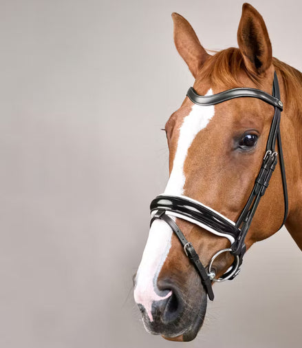 Dy'on Large Crank Noseband Hoofdstel With Flash - Working