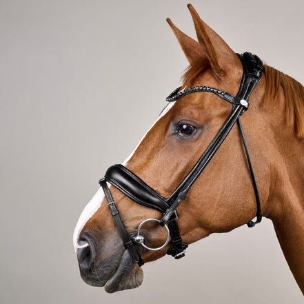 Dy'on ComfoHead Headstall