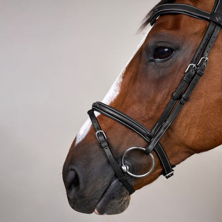 Dy'on Flash Noseband Hoofdstel With Snap Hooks Working Coll.