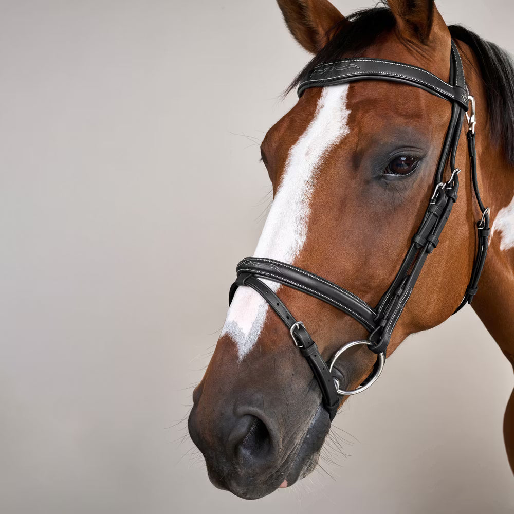 Dy'on Flash Noseband Hoofdstel With Snap Hooks Working Coll. – detailfoto 2