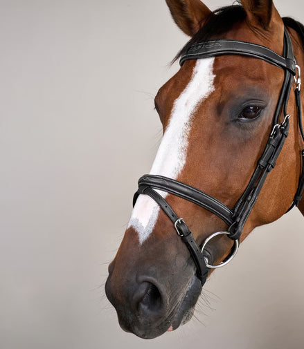 Dy'on Flash Noseband Hoofdstel With Snap Hooks Working Coll.
