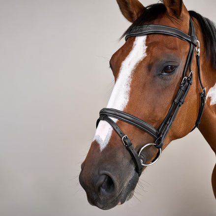 Dy'on Flash Noseband Hoofdstel With Snap Hooks Working Coll.