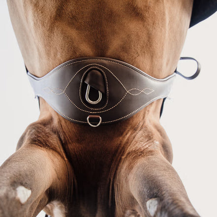 Kentucky Anatomical Girth