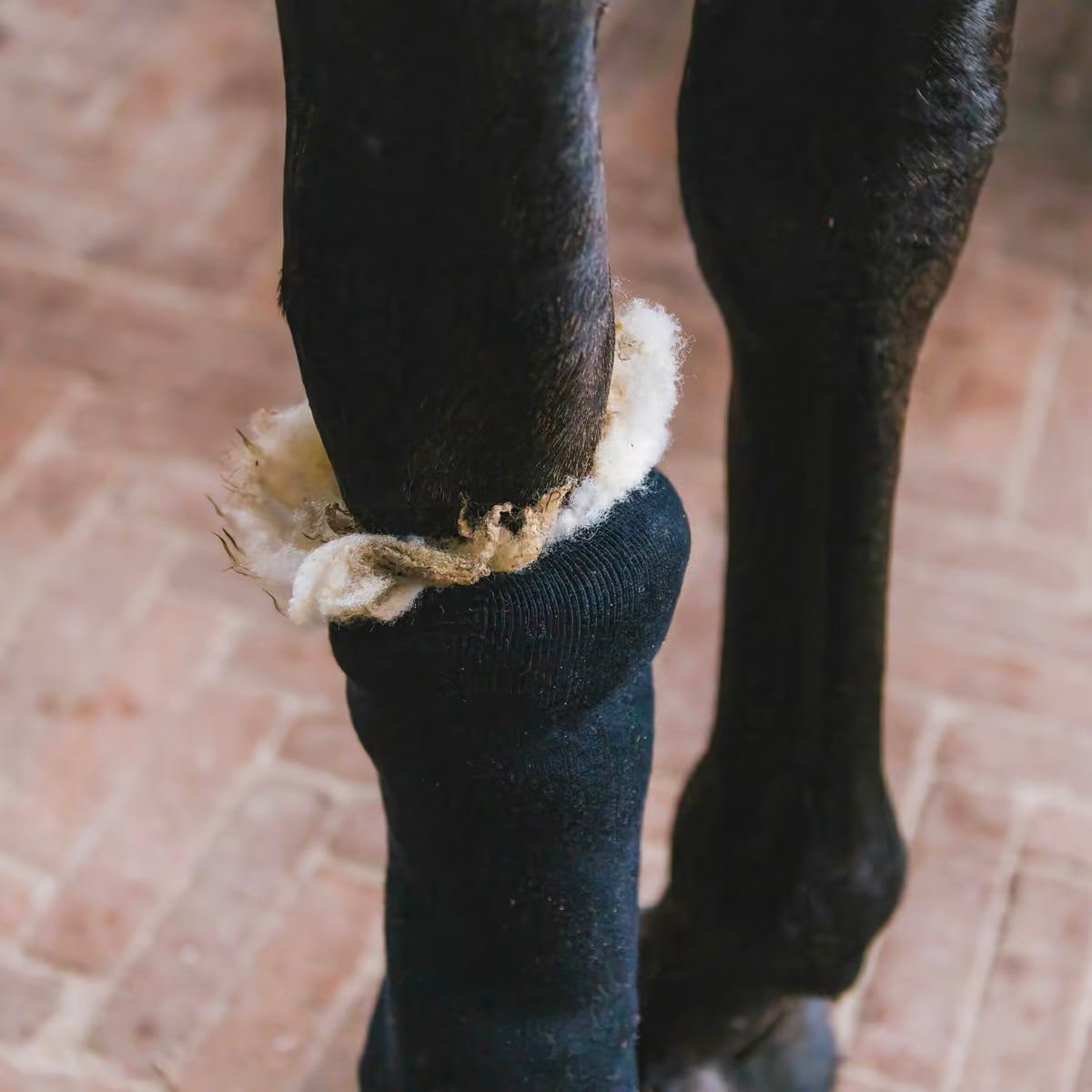 Kentucky Therapeutic Wool 150g