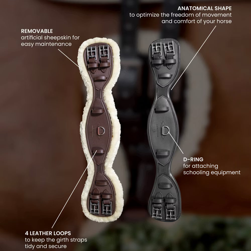 Kentucky Anatomical Short Girth Wool